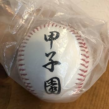 Amazon.co.jp: 第78回 選抜高校野球 記念ボール 甲子園 : ホーム